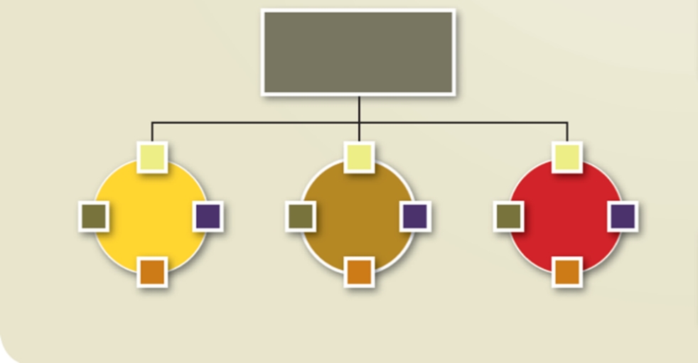 Which structure is illustrated in this diagram?   A) Vertical B) Divisional C) Team D) Matrix E) Virtual