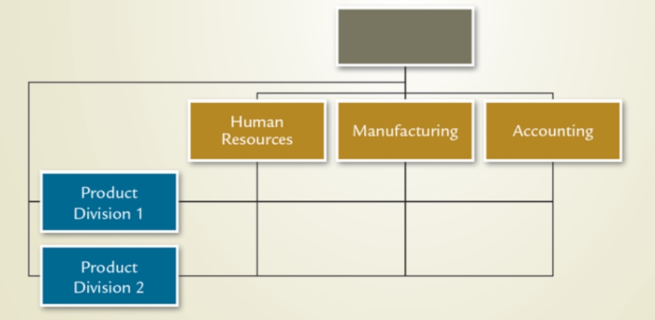 Which structure is illustrated in this diagram?   A) Vertical B) Divisional C) Team D) Matrix E) Virtual