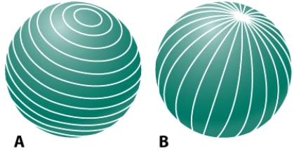 The lines on the globe shown in part B of this figure are used to determine position east or west of the:   A) prime meridian B) north pole C) equator D) south pole
