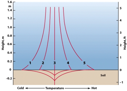 Which of the temperature profiles on this figure most closely resembles the situation you would expect shortly after dawn?   A) 1 B) 2 C) 3 D) 5