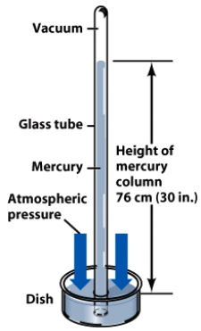 The device shown in this figure is called a:   A) thermometer B) hygrometer C) pyranometer D) barometer