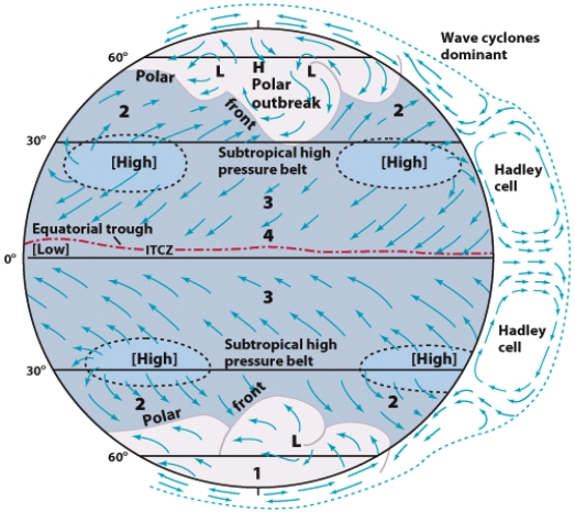 The surface wind system known as the doldrums is labeled:   A) 1 B) 2 C) 3 D) 4