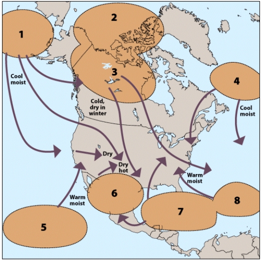 The air mass found in the area labeled 8 would be designated:   A) mT B) mE C) cT D) cE