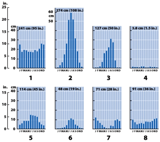 The graph that best depicts the seasonal variability in precipitation found in the wet equatorial belt precipitation regime is number ____.   A) 1 B) 2 C) 3 D) 4