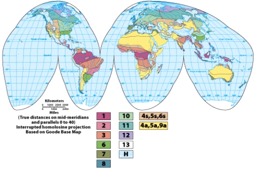 On this map, the region(s) labeled 4s, 5s, 6s have a _______ climate.   A) wet equatorial B) monsoon and trade wind coastal C) wet-dry tropical D) dry climates