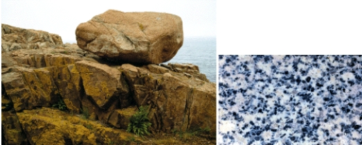 The photographs below show an outcrop and close-up view of a particular kind of rock. What type of rock is it and what holds this type of rock together? Also explain how such a rock might form.   