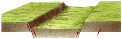 In the figure below, which structure is bound by normal faults, resulting in a down-dropping block of rock? What is the down-dropped block between two normal faults?   A) horst B) graben C) fault plane D) tension plane E) none of the above
