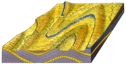 The figure below shows a stacked anticline and syncline. No reference in text to  stacked  anything in Ch9 text.   