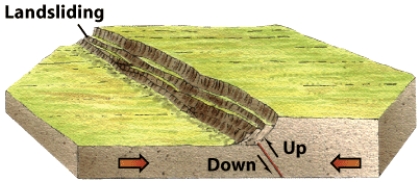 The figure below shows a __________ fault.   