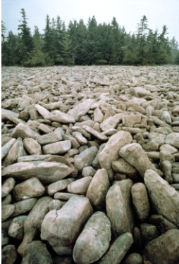 The large boulders in the figure below are an example of mechanical weathering.   