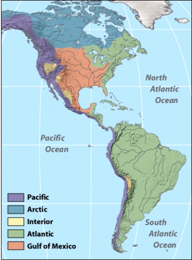 According to the figure below, South America has very small amount of __________ drainage along its western coast.   A) Atlantic B) Pacific C) Interior D) Gulf of Mexico E) none of the above