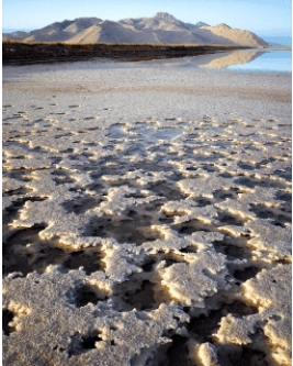 The figure below illustrates the result of good water management.   