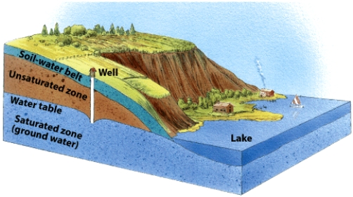 In the figure below, describe what might happen to the lake level if the water table was drawn down significantly by ground water pumping in the well.   