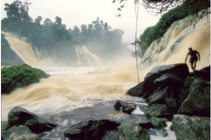 The figure below shows a stream with a high __________.   A) bed load B) suspended load C) saltated load D) floodplain E) levee