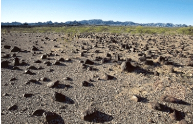 Long-term deflation, as shown, may lead to the development of desert ____________.