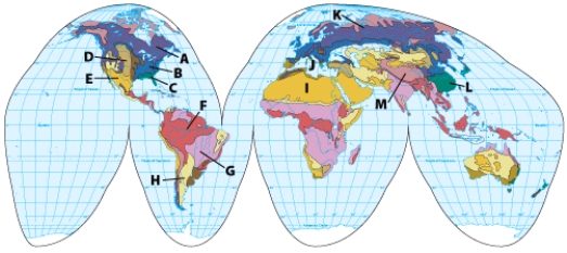 On the map, the biome at G is:   A) low-latitude rainforest B) grassland C) mid-latitude deciduous forest D) savanna