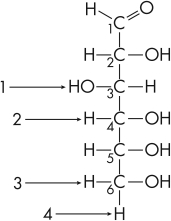 Which arrow is drawn to a hydrogen that can form a hydrogen bond with water?   A)  1 B)  2 C)  3 D)  4