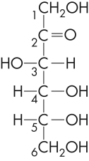 What kind of cellular molecule is shown here?   A)  an amino acid B)  glycerol C)  a lipid D)  a sugar
