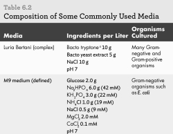 Examine the media recipes shown.What ingredients make Luria Bertani a complex medium as opposed to a chemically defined minimal medium?   A)  tryptone and NaCl B)  tryptone and yeast extract C)  NaCl and yeast extract D)  Luria Bertani is a chemically defined minimal medium.