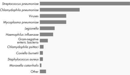 This figure shows the relative incidence of pneumonia caused by various microorganisms.Vaccines are available to prevent   A)  all of the bacterial forms of pneumonia. B)  the most common and least common bacterial causes of pneumonia. C)  viral forms of pneumonia. D)  the form of pneumonia that occurs most frequently in the elderly.