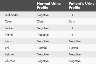 What conclusion can you make about your patient regarding the urinalysis data below?   