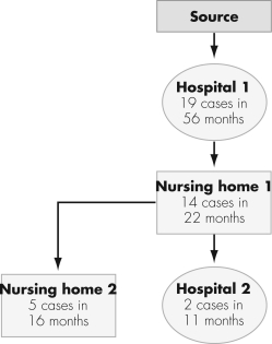 The figure shown represents   A)   daisy chain  movement of an infectious organism. B)  an endemic organism colonizing a new area. C)  a pandemic infection. D)  syndromic surveillance of an index patient.