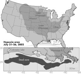 Explain the location of the  dead zone  shown in this figure.What causes this dead zone to appear annually during spring?   