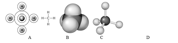 Shown are four different representations of methane.Letter ________ shows a structural formula.  <div style=padding-top: 35px> 