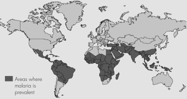 This map shows areas where malaria is endemic.What organism is endemic to the same regions?   A)  Anopheles mosquitoes B)  Ixodes scapularis ticks C)  reduviid bugs D)  sand flies