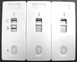 This figure shows a  red colloidal gold  test used to test for the presence of Streptococcus pneumoniae.This typical point-of-care laboratory test is known as a(n)________ assay.   