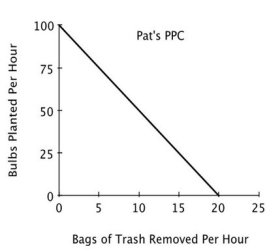 Refer to the accompanying figure. For Pat, the opportunity cost of removing one bag of trash is planting:          A) 100 bulbs. B) 5 bulbs. C) 1/100 of a bulb. D) 1/5 of a bulb.