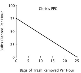 Refer to the accompanying figure. For Pat, the opportunity cost of removing one bag of trash is planting:          A) 100 bulbs. B) 5 bulbs. C) 1/100 of a bulb. D) 1/5 of a bulb.