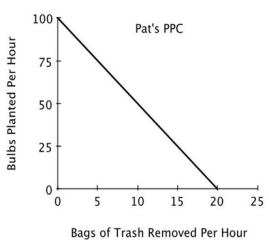 <strong>Refer to the accompanying figure. For Chris, the opportunity cost of removing one bag of trash is planting: </strong> A)25 bulbs. B)1/25 of a bulb. C)3 bulbs. D)1/3 of a bulb.