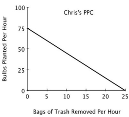 <strong>Refer to the accompanying figure. For Chris, the opportunity cost of removing one bag of trash is planting: </strong> A)25 bulbs. B)1/25 of a bulb. C)3 bulbs. D)1/3 of a bulb.