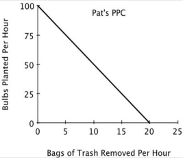<strong>Refer to the accompanying figure. For Chris, the opportunity cost of planting one bulb is removing: </strong> A)25 bags of trash. B)1/25 of a bag of trash. C)3 bags of trash. D)1/3 of a bag of trash.
