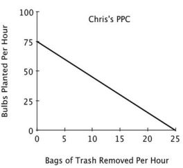 <strong>Refer to the accompanying figure. If Pat and Chris were to specialize in the task in which each has a comparative advantage: </strong> A)Chris would plant bulbs and Pat would remove trash. B)Chris would remove trash and Pat would plant bulbs. C)Pat and Chris would each spend half of their time each task. D)both Pat and Chris would plant bulbs because they both have an absolute advantage in that task.