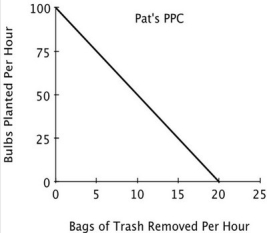 <strong>Refer to the accompanying figure. If Pat and Chris each spend half their time on each task, then: </strong> A)the outcome will be efficient. B)they will plant more bulbs and remove fewer bags of trash than if they had each specialized in the task at which they have a comparative advantage. C)they will plant fewer bulbs and remove fewer bags of trash than if they each had specialized in the task at which they have a comparative advantage. D)the outcome will be unattainable.