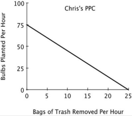 <strong>Refer to the accompanying figure. If Pat and Chris each spend half their time on each task, then: </strong> A)the outcome will be efficient. B)they will plant more bulbs and remove fewer bags of trash than if they had each specialized in the task at which they have a comparative advantage. C)they will plant fewer bulbs and remove fewer bags of trash than if they each had specialized in the task at which they have a comparative advantage. D)the outcome will be unattainable.