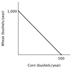 Refer to the accompanying figure. It is efficient for this farmer to:   A) grow 500 bushels of wheat and 500 bushels of corn. B) grow 250 bushels of wheat and 500 bushels of corn. C) grow 500 bushels of wheat and 250 bushels of corn. D) grow 1,000 bushels of wheat and 500 bushels of corn.