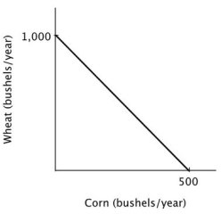Refer to the accompanying figure. The opportunity cost of producing one bushel of wheat is:   A) 2 bushels of corn. B) ½ of a bushel of corn. C) 1,000 bushels of corn. D) 500 bushels of corn.