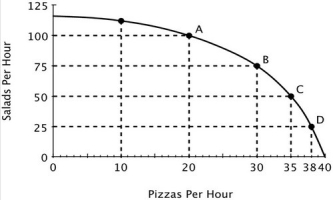 Refer to the accompanying figure. If this restaurant makes 75 salads in one hour, then what's the maximum number of pizzas it can make in that same hour?   A) 0 B) 10 C) 20 D) 30