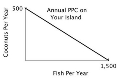 You are the Minister of Trade for a small island country with the following annual PPC:   You are negotiating a trade agreement with a neighboring island with the following annual PPC:     As soon as you see the other island's PPC, you realize there are: A) no gains from trade because you both have the same comparative advantage. B) no gains from trade because there is no difference in your ability to harvest coconuts. C) no gains from trade because the other island has an absolute advantage. D) gains from trade because your island has a comparative advantage in coconuts.