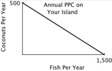 You are the Minister of Trade for a small island country with the following annual PPC:   You are negotiating a trade agreement with a neighboring island with the following annual PPC:     If the other island's delegate offers to give you 2 fish for every 1 coconut you give them, you will: A) accept their offer because you do not have the comparative advantage in fish. B) refuse their offer because the opportunity cost to you of a coconut is more than 2 fish. C) accept their offer because you do not have an absolute advantage in fish. D) refuse their offer because the opportunity cost to you of a coconut is less than 2 fish.