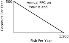 You are the Minister of Trade for a small island country with the following annual PPC:   You are negotiating a trade agreement with a neighboring island with the following annual PPC:     If you offer to give the other island 1 coconut for every 4 fish they give you, then they will: A) refuse your offer because they have a comparative advantage in fish. B) accept your offer because your opportunity cost of a coconuts is less than 4 fish. C) refuse your offer because they can produce as many coconuts as you can. D) accept your offer because their opportunity cost of a coconut is greater than 4 fish.
