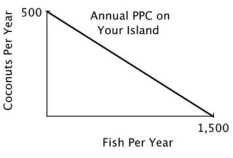 You are the Minister of Trade for a small island country with the following annual PPC:   You are negotiating a trade agreement with a neighboring island with the following annual PPC:     Both islands specialize exclusively in the product for which they have a comparative advantage. You have agreed to give 350 coconuts to the other island in exchange for 1,300 fish. After the trade, your island has a total of ________ coconuts and ________ fish. A) 150; 2,800 B) 500; 1,300 C) 150; 1,300 D) 500; 1,500