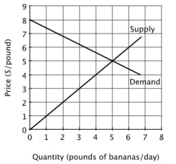 Refer to the accompanying figure. What is the equilibrium quantity of bananas in this market?     A) 0 pounds/day B) 3 pounds/day C) 4 pounds/day D) 5 pounds/day