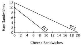 Refer to the accompanying figure.   Suppose Zeynep's budget constraint is initially given by BC1. If her budget constraint shifts to BC2, this could be the result of: A) an increase in the price of cheese sandwiches and a decrease in the price of ham sandwiches. B) a decrease in the price of cheese sandwiches and an increase in income. C) a decrease in the price of cheese sandwiches and an increase in the price of ham sandwiches. D) an increase in the price of cheese sandwiches and a decrease in income.