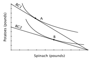 Refer to the accompanying figure.      Suppose that James' initial budget constraint shifts from BC1 to BC2, and as a result, his best affordable bundle moves from point A to point B. According to this figure: A) spinach is an inferior good. B) potatoes are an inferior good. C) spinach and potatoes are substitutes. D) spinach and potatoes are complements.