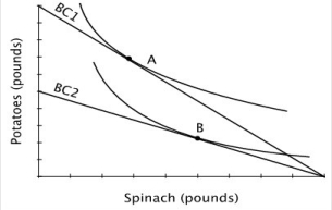 Refer to the accompanying figure.     From the figure, we can infer that James' marginal rate of substitution is: A) the same at point A and point B. B) higher at point B than point A. C) higher at point A than point B. D) constant.