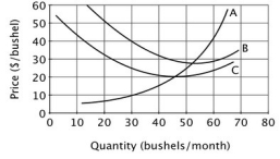 The accompanying graph shows the cost curves for Moe's mushroom gathering business, which is perfectly competitive.    In the graph above, the average variable cost curve is labeled ________, the average total cost curve is labeled ________, and the marginal cost curve is labeled ________. A) A; B; C B) C; B; A C) B; C; A D) C; A; B